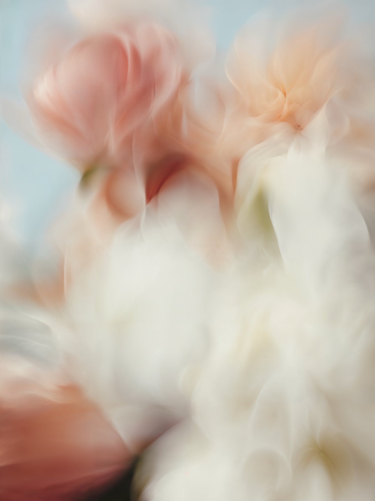 Flower Memory